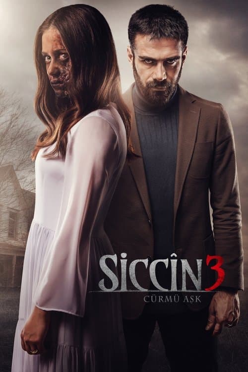 Siccîn 3: Cürmü Aşk posteri