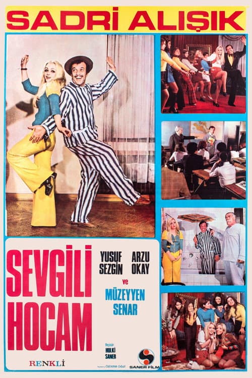 Sevgili Hocam posteri