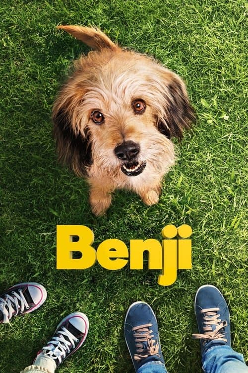 Benji posteri