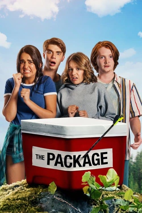 Paket posteri