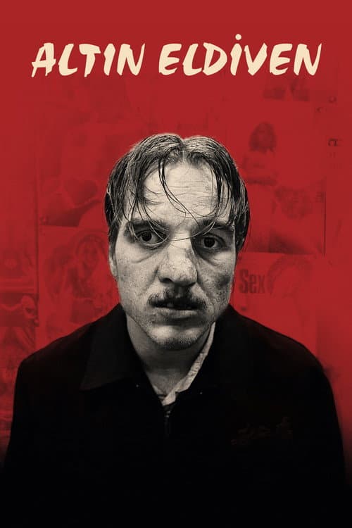 Altın Eldiven posteri