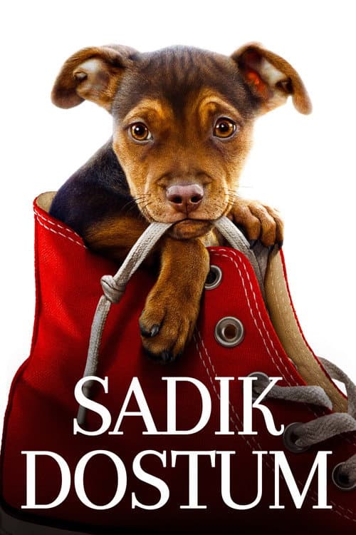 Sadık Dostum posteri