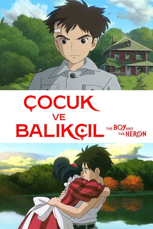 Çocuk ve Balıkçıl posteri