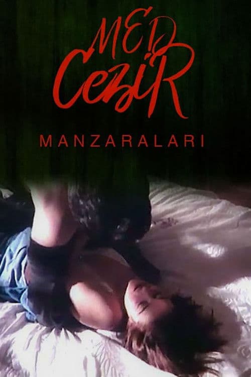 Medcezir Manzaraları posteri