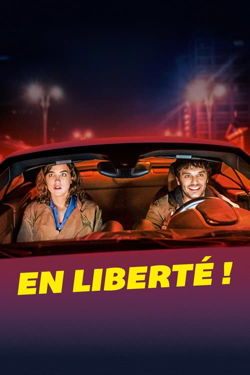 Seninle Başım Dertte posteri