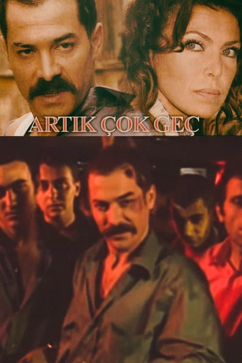 Artık Çok Geç posteri