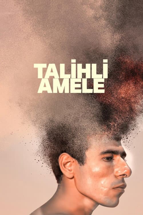 Talihli Amele posteri