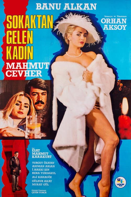 Sokaktan Gelen Kadın posteri