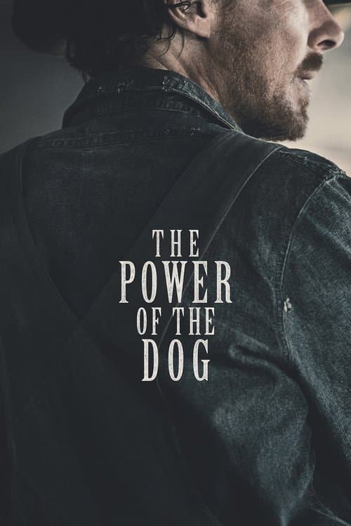Köpeğin Pençesi posteri