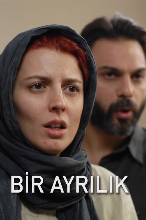Bir Ayrılık posteri
