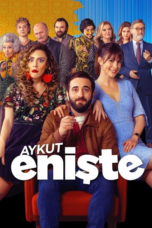 Aykut Enişte posteri