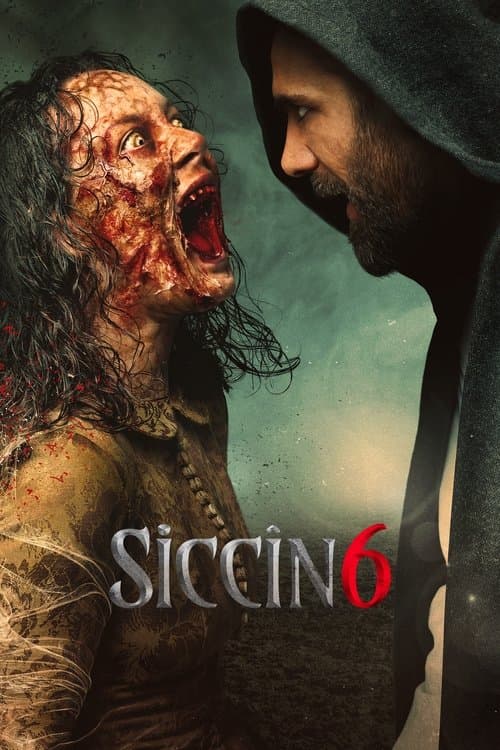 Siccîn 6 posteri