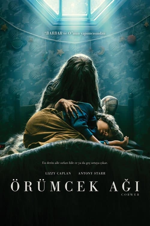 Örümcek Ağı posteri