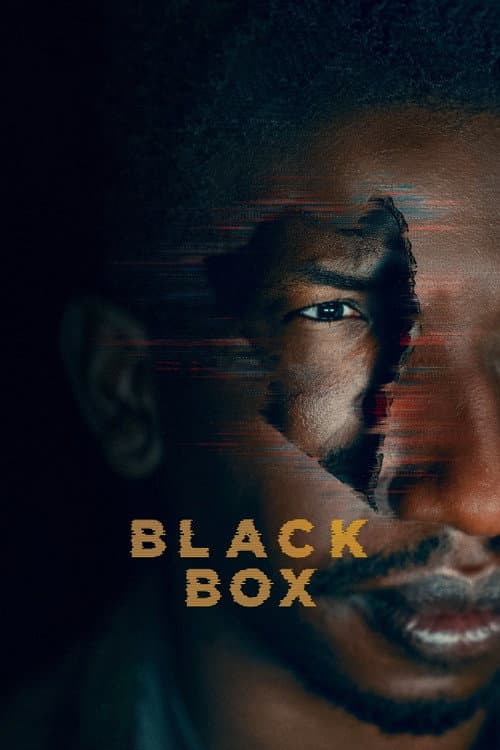 Black Box posteri