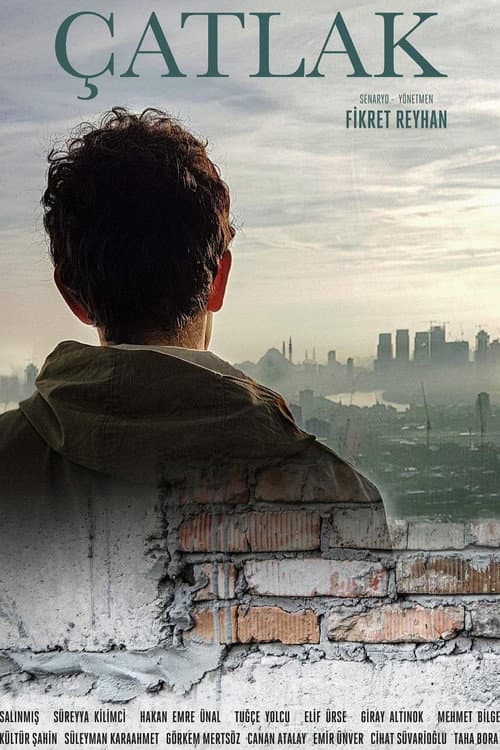 Çatlak posteri