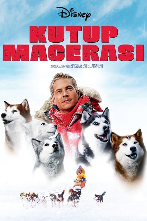Kutup Macerası posteri