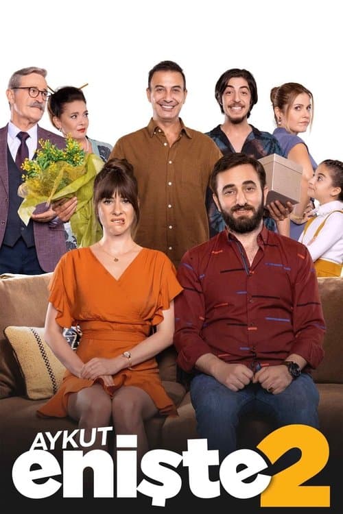 Aykut Enişte 2 posteri