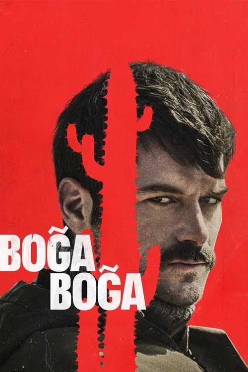 Boğa Boğa posteri