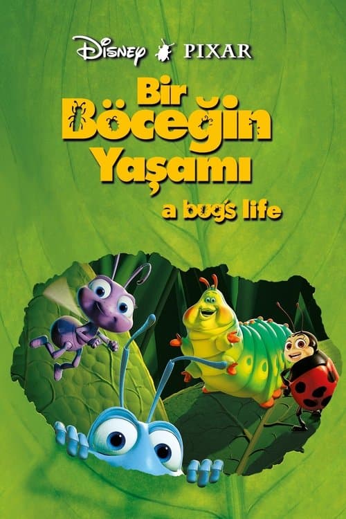 Bir Böceğin Yaşamı posteri
