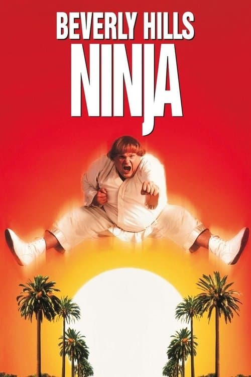 Beverly Hills Ninja posteri