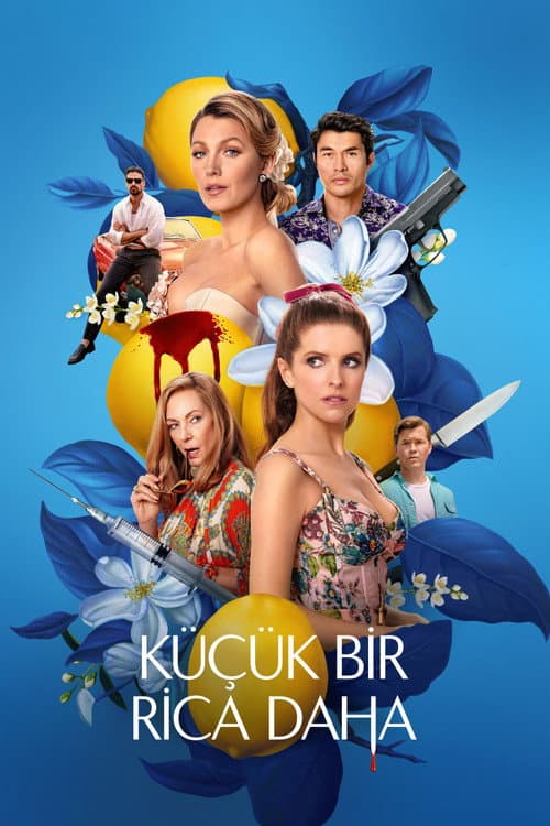 Küçük Bir Rica Daha posteri