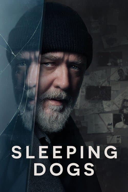 Sleeping Dogs posteri