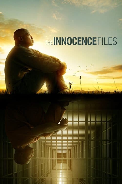 The Innocence Files posteri