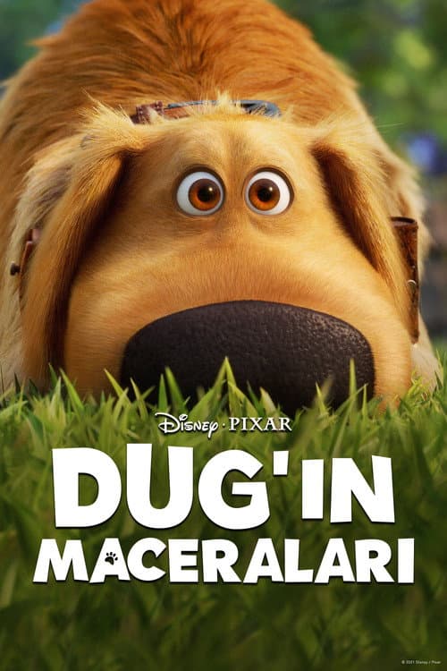 Dug'ın Maceraları posteri