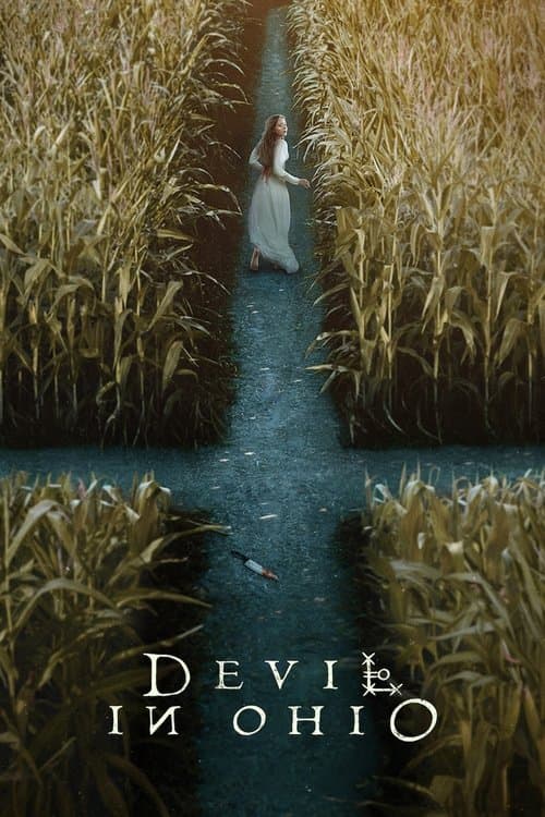 Devil in Ohio posteri
