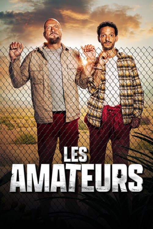 Les Amateurs posteri