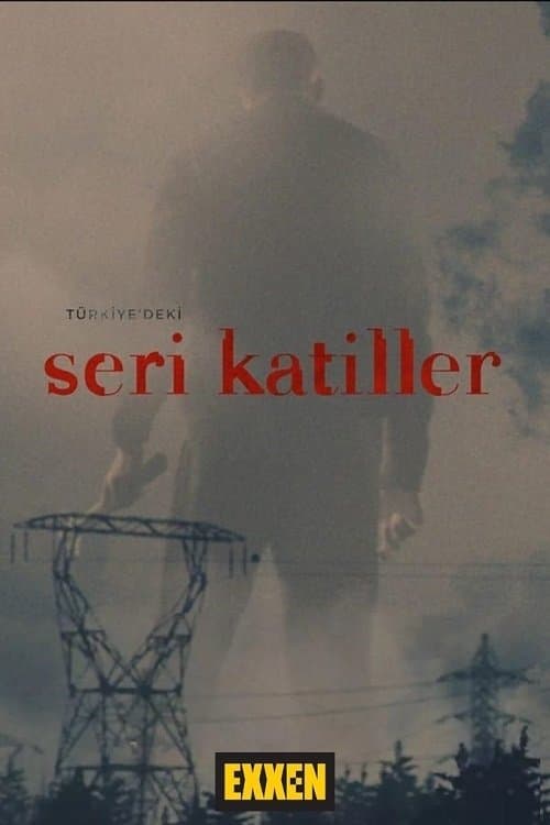 Türkiye'deki Seri Katiller posteri