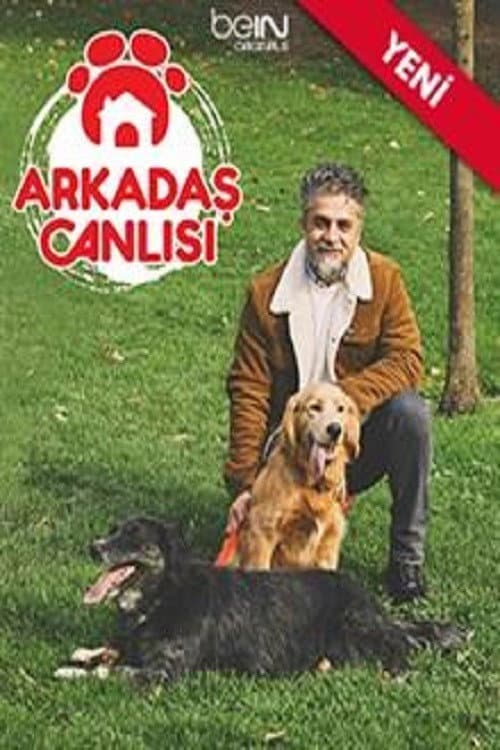 Arkadaş Canlısı posteri