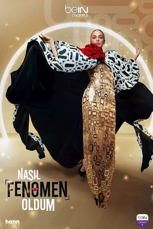 Nasıl Fenomen Oldum posteri