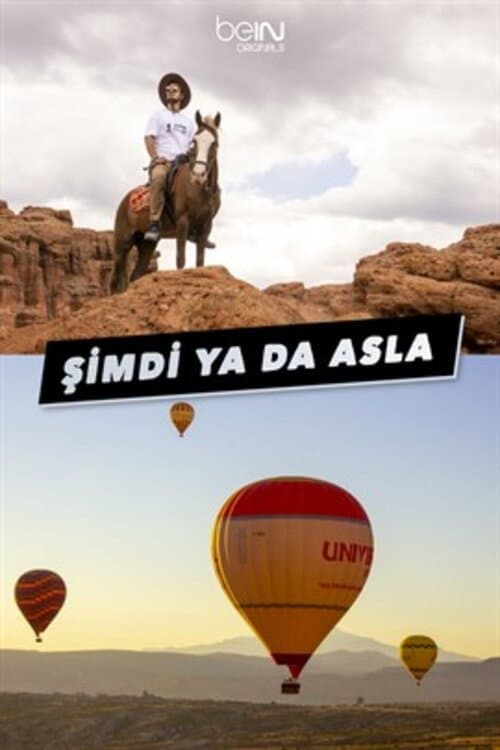 Şimdi Ya Da Asla posteri