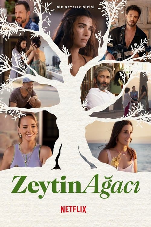Zeytin Ağacı posteri