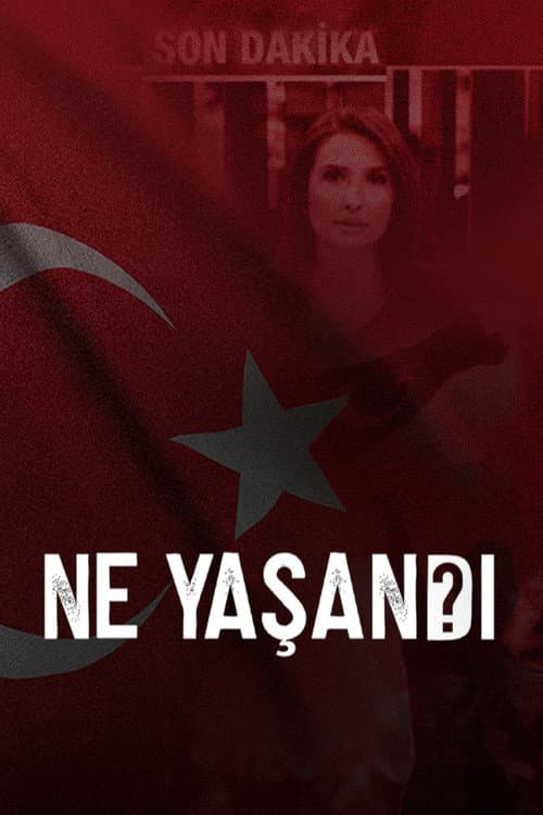 Ne Yaşandı? posteri