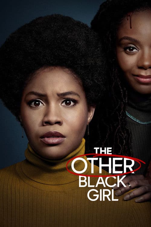 The Other Black Girl posteri