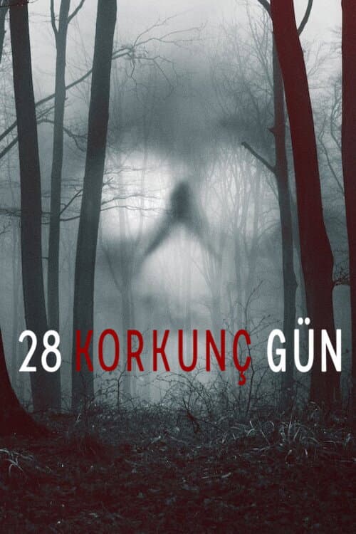 28 Korkunç Gün posteri