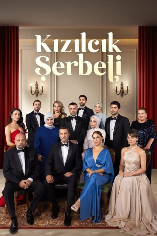 Kızılcık Şerbeti posteri