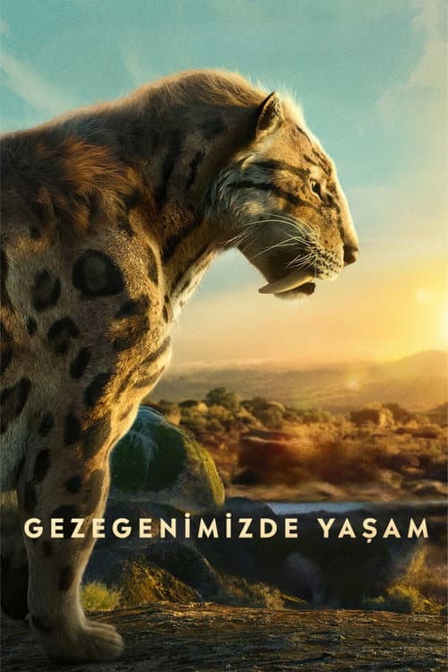 Gezegenimizde Yaşam posteri