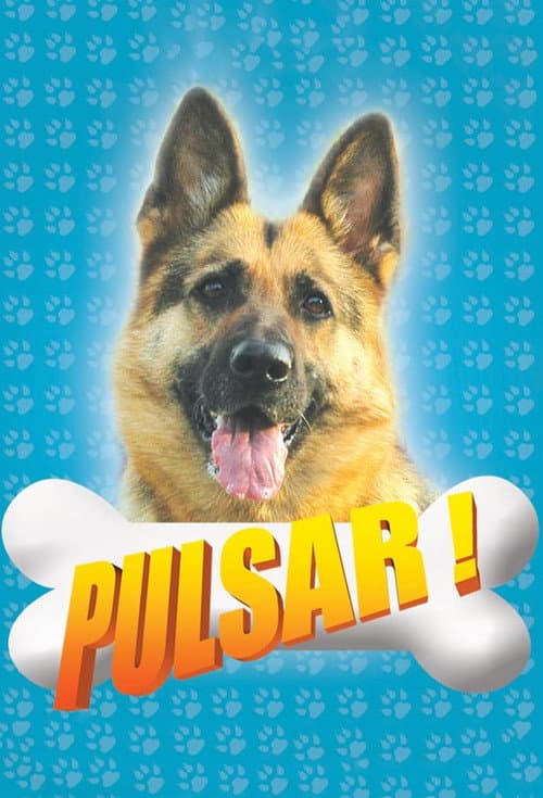 Pulsar posteri