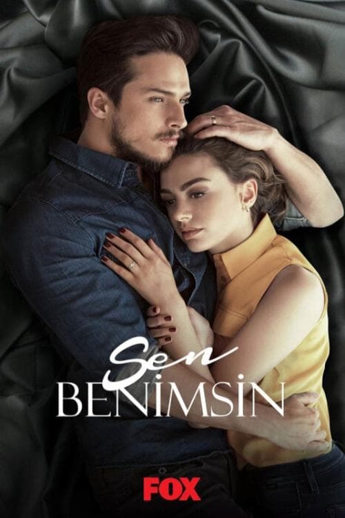 Sen Benimsin posteri