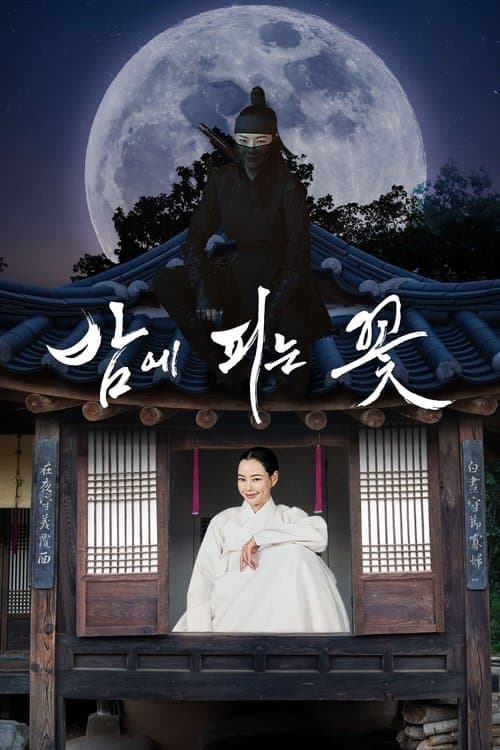 밤에 피는 꽃 posteri