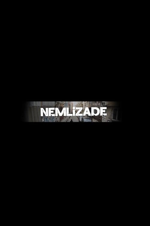 Nemlizade posteri