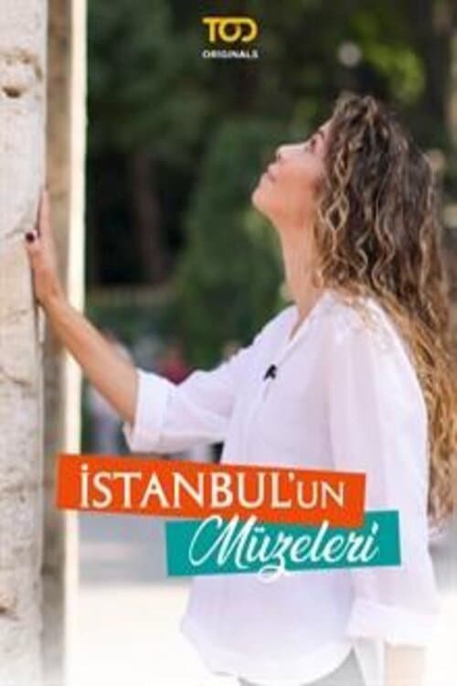 İstanbul'un Müzeleri posteri