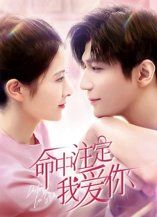 命中注定我爱你 posteri