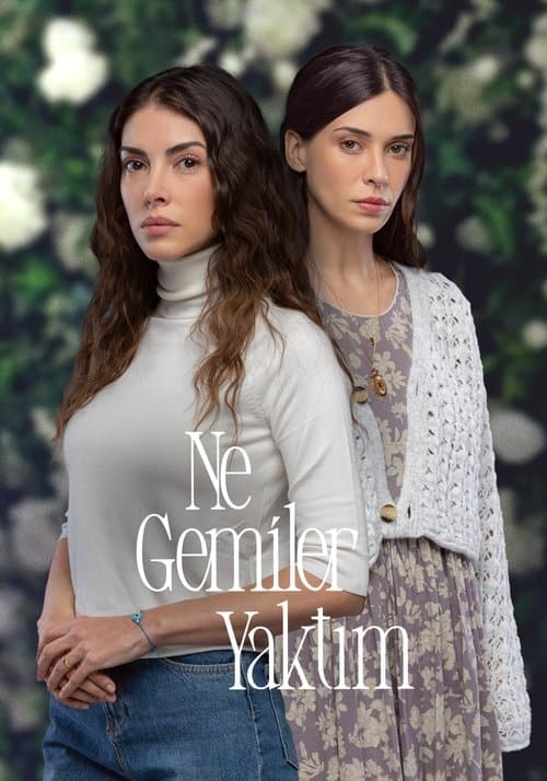 Ne Gemiler Yaktım posteri