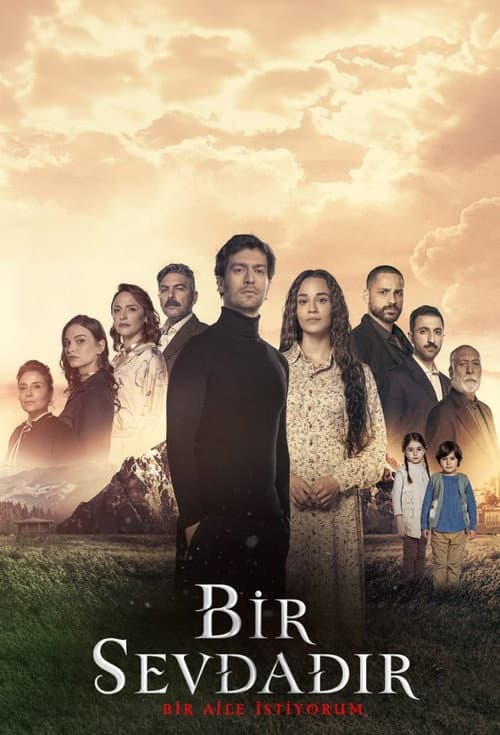 Bir Sevdadır posteri