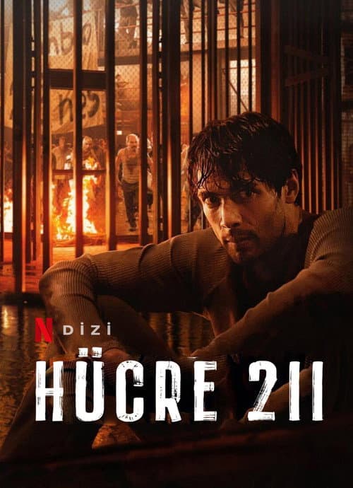 Hücre 211 posteri
