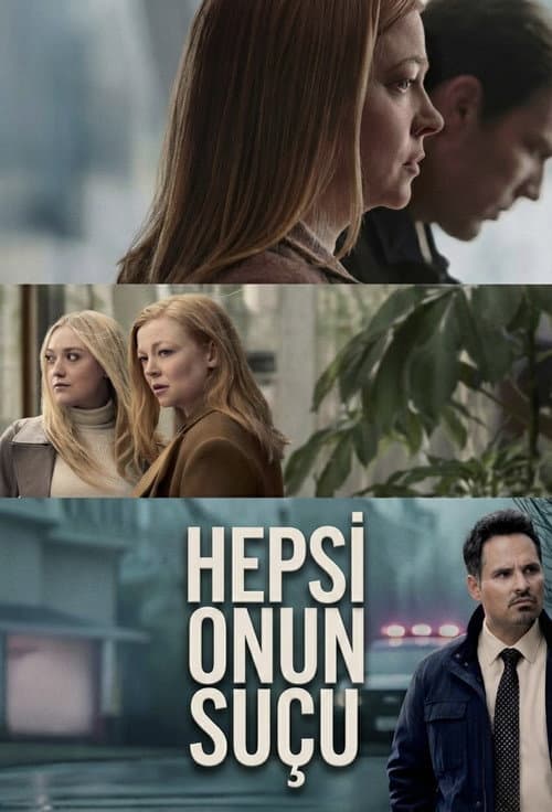 Hepsi Onun Suçu posteri